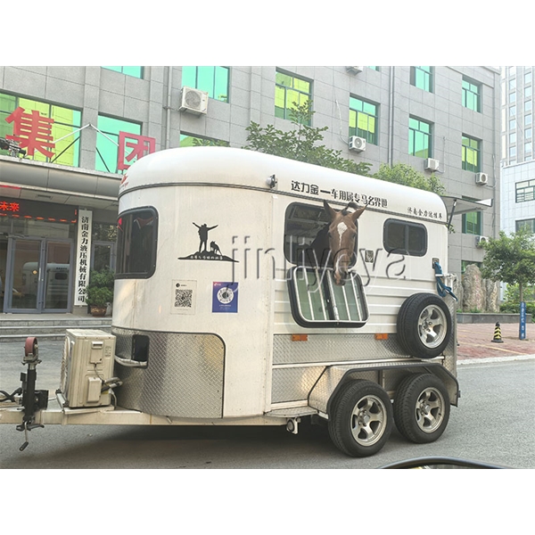 滨州运马车